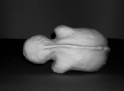 Embryo - weisser Ton, ungebrannt